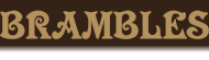 Home page