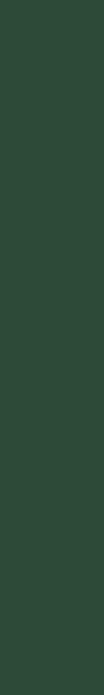 Green menu border